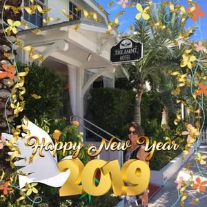 Meet your Posher, Ginger